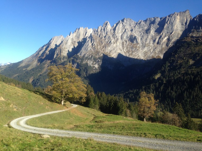Weg im Rosenlaui-Tal