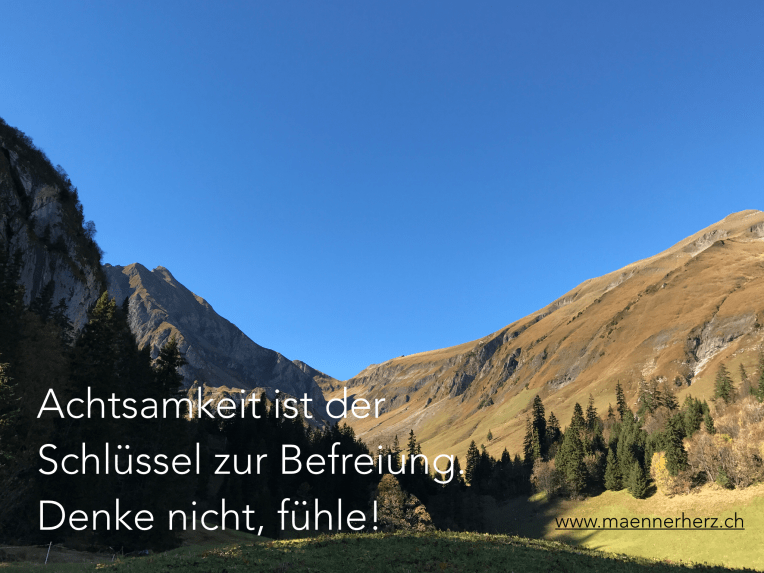 Illustration zum Sinnspruch: Achtsamkeit ist der Schlüssel zur Befreiung.